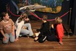 IMG 46181