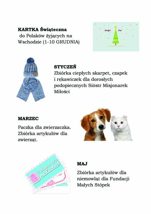 Akcje wolontariatu2 kopia