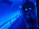 edukatorium13
