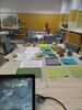 IMG 20250312 WA0002