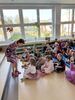 IMG 4903